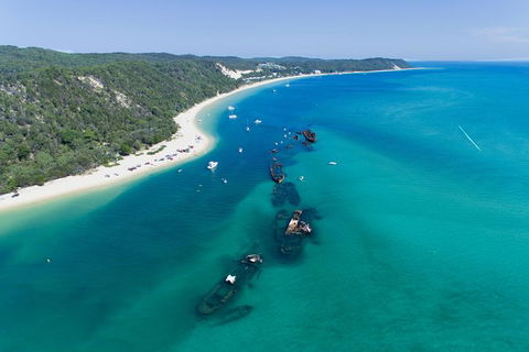 Cape Moreton Scenic 4WD Day Tour From Brisbane Or The Gold Coast - Accommodation Noosa 8
