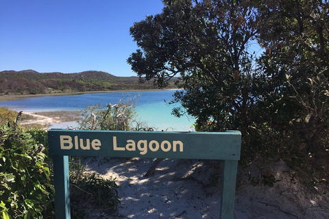 Cape Moreton Scenic 4WD Day Tour From Brisbane Or The Gold Coast - Accommodation Noosa 4
