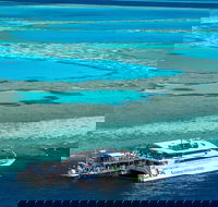 Great Barrier Reef Day Cruise to Reefworld - Accommodation Noosa
