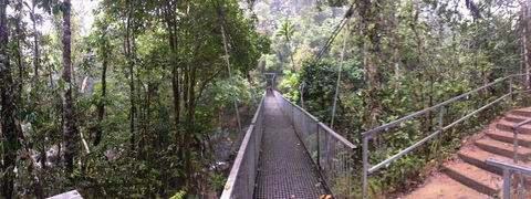 Cape Tribulation, Mossman Gorge, And Daintree Rainforest Day Trip From Cairns Or Port Douglas - Accommodation Noosa 4
