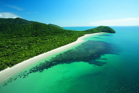 Cape Tribulation, Mossman Gorge, And Daintree Rainforest Day Trip From Cairns Or Port Douglas - Accommodation Noosa 0