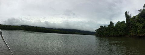 Cape Tribulation, Mossman Gorge, And Daintree Rainforest Day Trip From Cairns Or Port Douglas - Accommodation Noosa 3