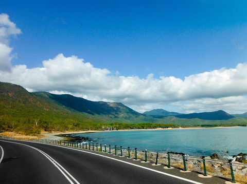 Cape Tribulation, Mossman Gorge, And Daintree Rainforest Day Trip From Cairns Or Port Douglas - Accommodation Noosa 11