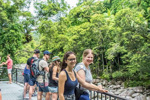 Cape Tribulation, Mossman Gorge, And Daintree Rainforest Day Trip From Cairns Or Port Douglas - Accommodation Noosa 15