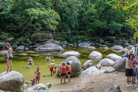 Cape Tribulation, Mossman Gorge, And Daintree Rainforest Day Trip From Cairns Or Port Douglas - Accommodation Noosa 14