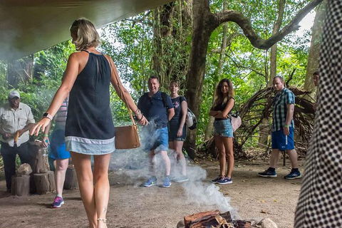 Cape Tribulation, Mossman Gorge, And Daintree Rainforest Day Trip From Cairns Or Port Douglas - Accommodation Noosa 13