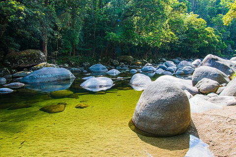 Daintree - Cape Tribulation & Atherton Tablelands Tours From Port Douglas - Accommodation Noosa 6