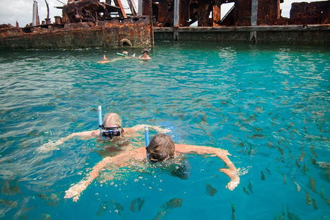 Moreton Island Snorkel And Sandboarding 4WD Day Trip From Brisbane - Accommodation Noosa 8