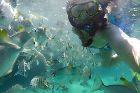 Moreton Island Snorkel And Sandboarding 4WD Day Trip From Brisbane - Accommodation Noosa 7
