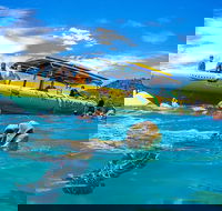 Ocean Rafting Tour to Whitehaven Beach Hill Inlet Lookout  Top Snorkel Spots - Accommodation Noosa