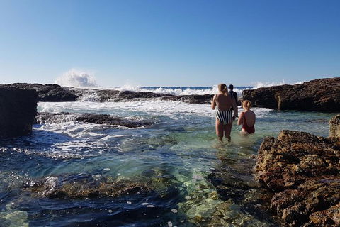 2-Day Moreton Island Tour From Brisbane Or Gold Coast With Optional Nighttime Kayaking - Accommodation Noosa 10