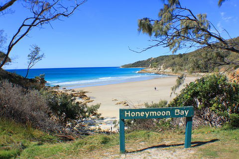 2-Day Moreton Island Tour From Brisbane Or Gold Coast With Optional Nighttime Kayaking - Accommodation Noosa 12