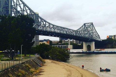 Brisbane River Guided Evening Tour By Kayak - Our Most Popular Tour - Accommodation Noosa 6