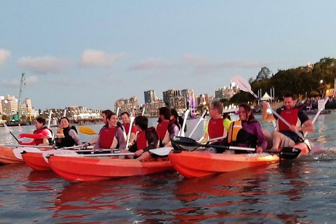 Brisbane River Guided Evening Tour By Kayak - Our Most Popular Tour - Accommodation Noosa 4