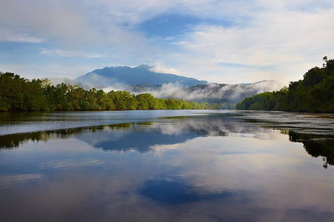 Daintree River Dawn Cruise - Accommodation Noosa 5
