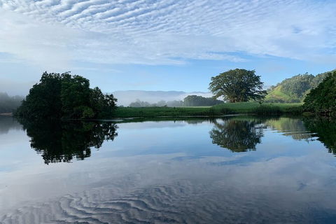 Daintree River Dawn Cruise - Accommodation Noosa 3