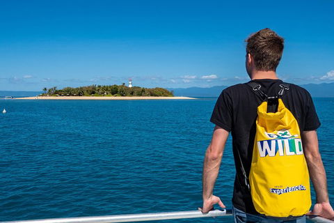 Half Day Low Isles Snorkelling Tour From Port Douglas - Accommodation Noosa 1