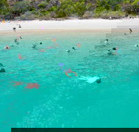 Stray Australia Brisbane to Cairns - Freestyle Travel Pass - Accommodation Noosa