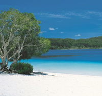 2-Day Fraser Island 4WD Tour from Brisbane or the Gold Coast - Accommodation Noosa