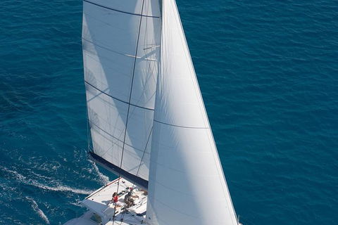 Afternoon Low Isles Snorkeling And Sailing Cruise From Port Douglas - Accommodation Noosa 1