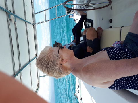 Afternoon Low Isles Snorkeling And Sailing Cruise From Port Douglas - Accommodation Noosa 8