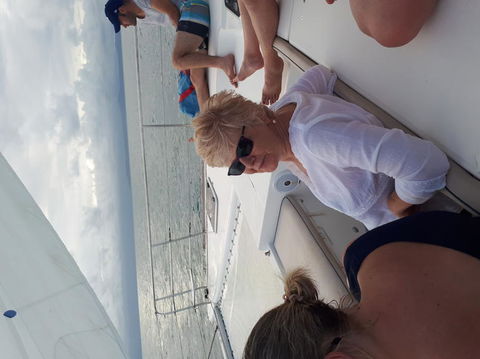 Afternoon Low Isles Snorkeling And Sailing Cruise From Port Douglas - Accommodation Noosa 5