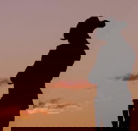 Townsville and the Australian Army Walking History Tour with Optional City Sightseeing - Accommodation Noosa