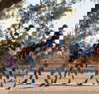 Camel Rides - Accommodation Noosa