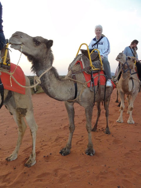 Uluru Small-Group Tour By Camel At Sunrise Or Sunset - Accommodation Noosa 2