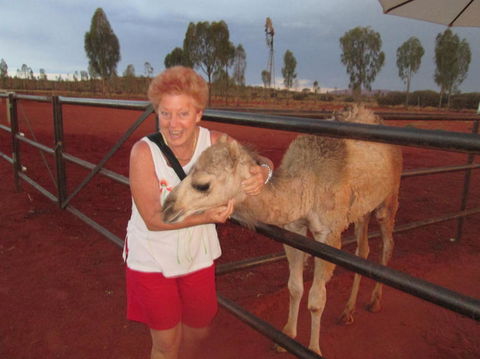 Uluru Small-Group Tour By Camel At Sunrise Or Sunset - Accommodation Noosa 18