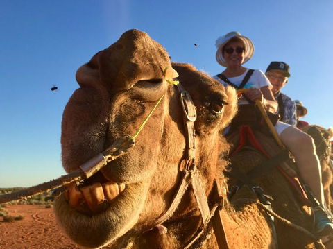 Uluru Small-Group Tour By Camel At Sunrise Or Sunset - Accommodation Noosa 7