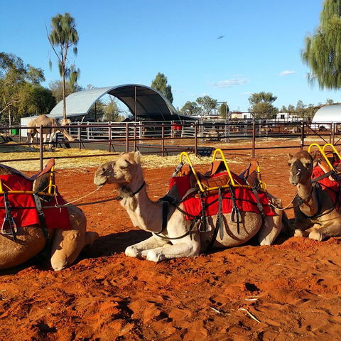 Uluru Small-Group Tour By Camel At Sunrise Or Sunset - Accommodation Noosa 15