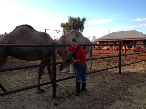 Uluru Small-Group Tour By Camel At Sunrise Or Sunset - Accommodation Noosa 21