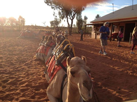 Uluru Small-Group Tour By Camel At Sunrise Or Sunset - Accommodation Noosa 22