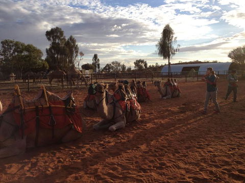 Uluru Small-Group Tour By Camel At Sunrise Or Sunset - Accommodation Noosa 23