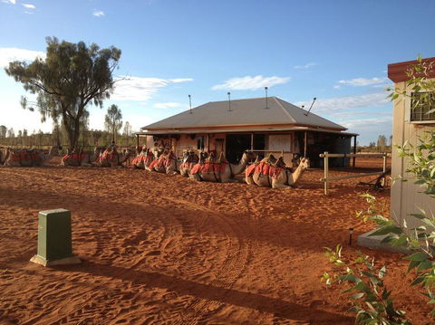 Uluru Small-Group Tour By Camel At Sunrise Or Sunset - Accommodation Noosa 19