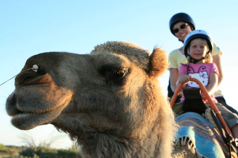 Uluru Small-Group Tour By Camel At Sunrise Or Sunset - Accommodation Noosa 3