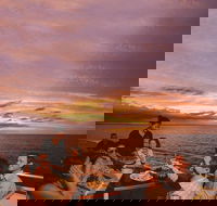 Darwin Harbour Sunset Cruise with Optional Buffet Dinner - Accommodation Noosa