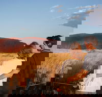 Uluru Ayers Rock Sunset with Outback Barbecue Dinner and Star Tour - Accommodation Noosa