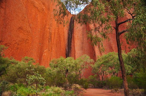 Uluru Sunrise And Guided Base Walk - Accommodation Noosa 14