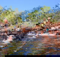 Litchfield and Jumping Crocodiles Full Day Trip from Darwin - Accommodation Noosa