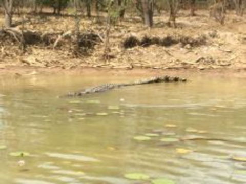 1 Day Corroboree Billabong Wetland Experience Including 2.5 Hour Cruise + Lunch - Accommodation Noosa 5