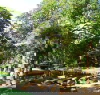 Darwin Afternoon Sightseeing Tour - Accommodation Noosa