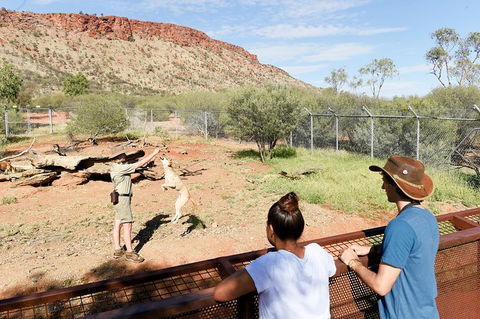 Alice Springs Desert Park General Entry Ticket - Accommodation Noosa 9