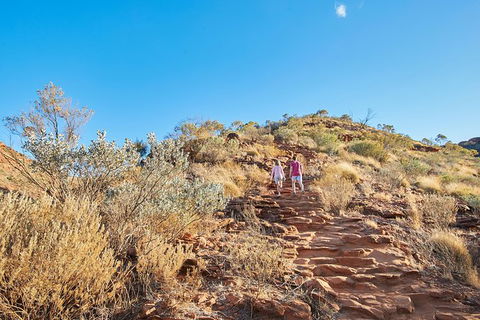 Kings Canyon Guided Rim Walk - Accommodation Noosa 5