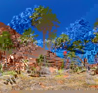 Palm Valley 4WD Tour from Alice Springs - Accommodation Noosa