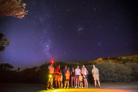 Alice Springs Desert Park Nocturnal Tour - Accommodation Noosa 8