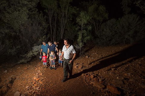 Alice Springs Desert Park Nocturnal Tour - Accommodation Noosa 6