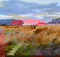 2-Day Uluru Ayers Rock National Park Explorer Trip from Alice Springs - Accommodation Noosa