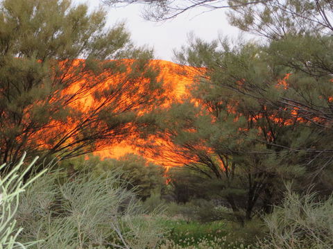 3-Day Ayers Rock, Olgas And Kings Canyon Camping Safari - Accommodation Noosa 6